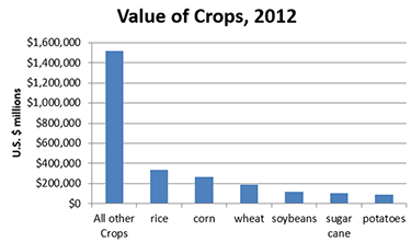 The Why of Data Visualization Fig 3